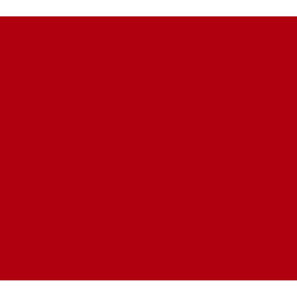 ORACAL 651 Self Adhesive Sign Vinyl 24" x 10Yd, Banners Decals Stickers - Red